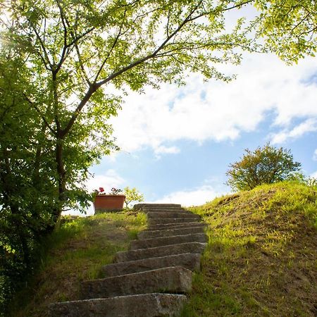 Ca' Noeva Bed & Breakfast Valverde  Dış mekan fotoğraf