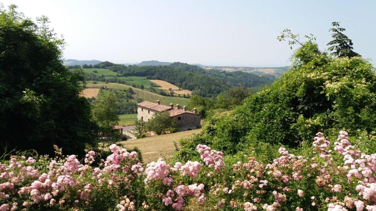 Ca' Noeva Bed & Breakfast Valverde  Dış mekan fotoğraf
