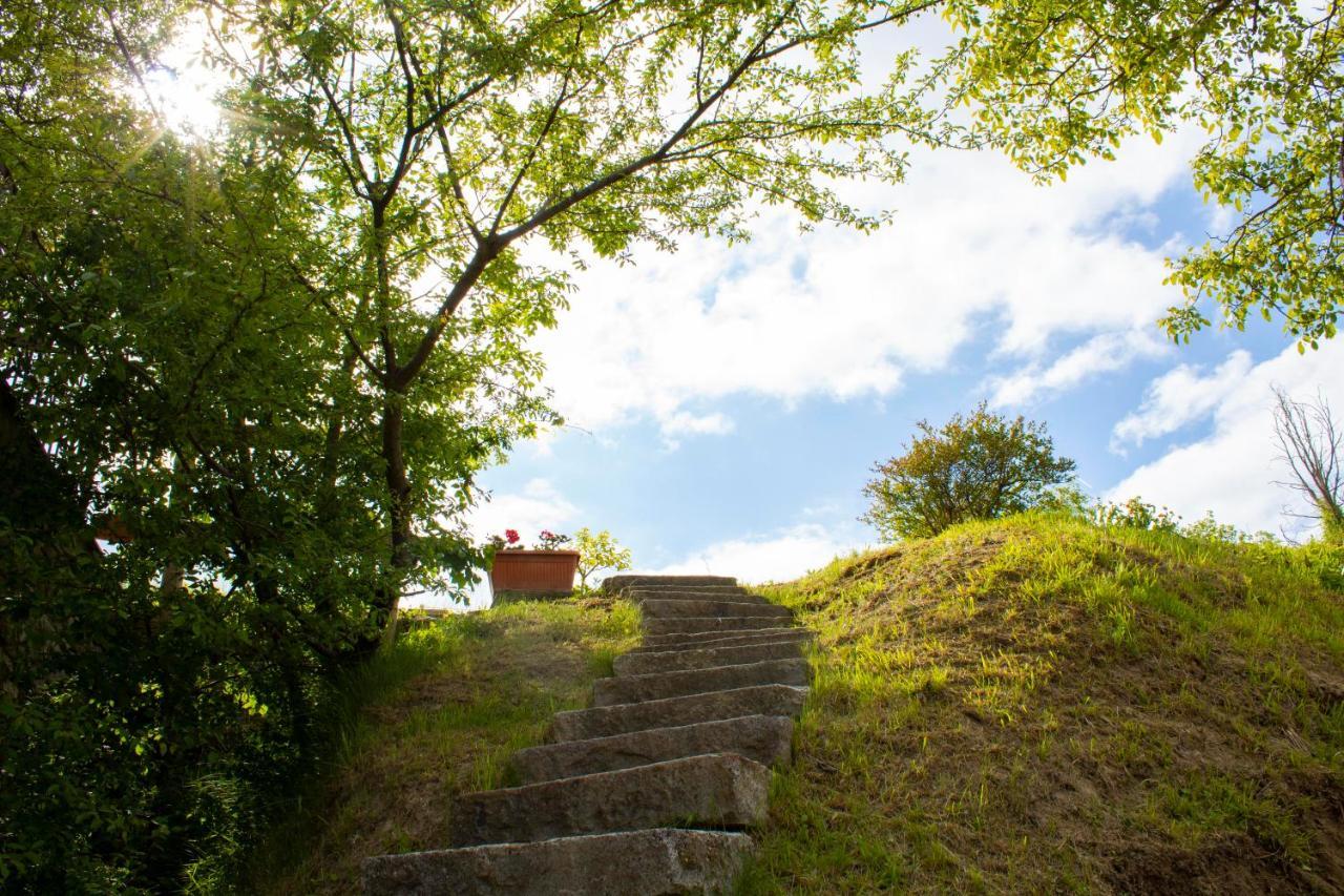 Ca' Noeva Bed & Breakfast Valverde  Dış mekan fotoğraf